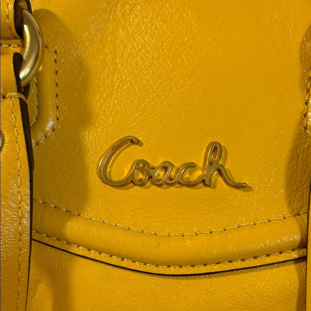 Coach Sunflower Yellow Ashley Leather Bag - Picture 4 of 14